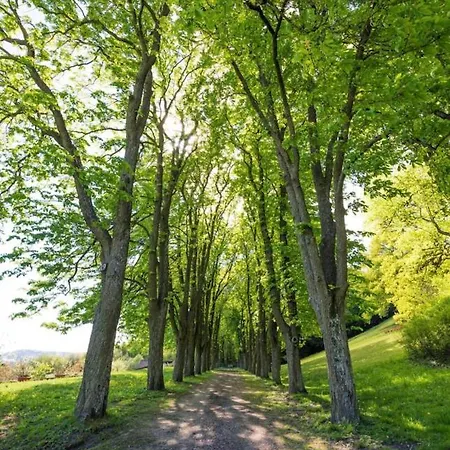 Urlaub In Schlossnaehe Appartamento *