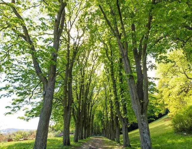 Urlaub In Schlossnaehe Appartement *